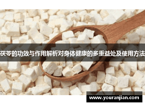 茯苓的功效与作用解析对身体健康的多重益处及使用方法